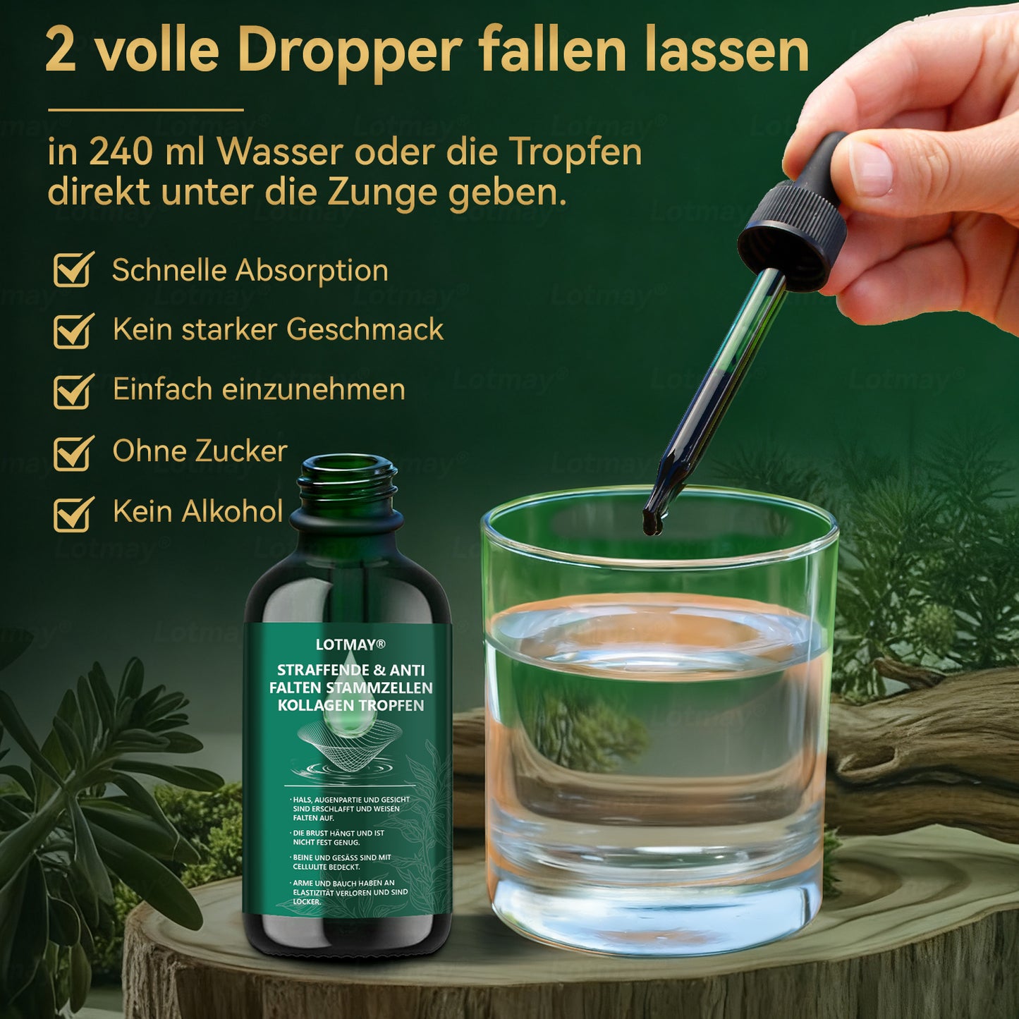 𝑳𝒐𝒕𝒎𝒂𝒚® 𝑭𝒆𝒔𝒕𝒊𝒈𝒆𝒏𝒅𝒆 & 𝑨𝒏𝒕𝒊-𝑭𝒂𝒍𝒕𝒆𝒏 𝑺𝒕𝒂𝒎𝒎𝒛𝒆𝒍𝒍-𝑲𝒐𝒍𝒍𝒂𝒈𝒆𝒏-𝑻𝒓𝒐𝒑𝒇𝒆𝒏 (𝑺𝒕𝒓𝒂𝒇𝒇𝒖𝒏𝒈 & 𝑭𝒆𝒔𝒕𝒊𝒈𝒖𝒏𝒈 𝒆𝒓𝒔𝒄𝒉𝒍𝒂𝒇𝒇𝒕𝒆𝒓 𝑯𝒂𝒖𝒕 𝒖𝒏𝒅 𝑹𝒆𝒅𝒖𝒛𝒊𝒆𝒓𝒖𝒏𝒈 𝒅𝒆𝒓 𝑭𝒂𝒍𝒕𝒆𝒏𝒃𝒊𝒍𝒅𝒖𝒏𝒈)👑