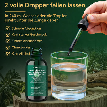 𝑳𝒐𝒕𝒎𝒂𝒚® 𝑭𝒆𝒔𝒕𝒊𝒈𝒆𝒏𝒅𝒆 & 𝑨𝒏𝒕𝒊-𝑭𝒂𝒍𝒕𝒆𝒏 𝑺𝒕𝒂𝒎𝒎𝒛𝒆𝒍𝒍-𝑲𝒐𝒍𝒍𝒂𝒈𝒆𝒏-𝑻𝒓𝒐𝒑𝒇𝒆𝒏 (𝑺𝒕𝒓𝒂𝒇𝒇𝒖𝒏𝒈 & 𝑭𝒆𝒔𝒕𝒊𝒈𝒖𝒏𝒈 𝒆𝒓𝒔𝒄𝒉𝒍𝒂𝒇𝒇𝒕𝒆𝒓 𝑯𝒂𝒖𝒕 𝒖𝒏𝒅 𝑹𝒆𝒅𝒖𝒛𝒊𝒆𝒓𝒖𝒏𝒈 𝒅𝒆𝒓 𝑭𝒂𝒍𝒕𝒆𝒏𝒃𝒊𝒍𝒅𝒖𝒏𝒈)👑