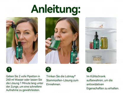 𝑳𝒐𝒕𝒎𝒂𝒚® 𝑭𝒆𝒔𝒕𝒊𝒈𝒆𝒏𝒅𝒆 & 𝑨𝒏𝒕𝒊-𝑭𝒂𝒍𝒕𝒆𝒏 𝑺𝒕𝒂𝒎𝒎𝒛𝒆𝒍𝒍-𝑲𝒐𝒍𝒍𝒂𝒈𝒆𝒏-𝑻𝒓𝒐𝒑𝒇𝒆𝒏 (𝑺𝒕𝒓𝒂𝒇𝒇𝒖𝒏𝒈 & 𝑭𝒆𝒔𝒕𝒊𝒈𝒖𝒏𝒈 𝒆𝒓𝒔𝒄𝒉𝒍𝒂𝒇𝒇𝒕𝒆𝒓 𝑯𝒂𝒖𝒕 𝒖𝒏𝒅 𝑹𝒆𝒅𝒖𝒛𝒊𝒆𝒓𝒖𝒏𝒈 𝒅𝒆𝒓 𝑭𝒂𝒍𝒕𝒆𝒏𝒃𝒊𝒍𝒅𝒖𝒏𝒈)👑