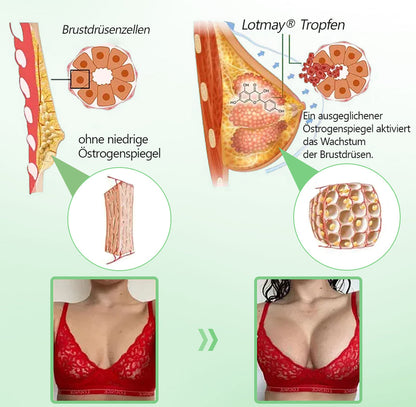 𝐋𝒐𝐭𝗺𝗮𝐲® 𝗬𝗼𝘂𝐭𝐡𝐆𝗹𝗼𝘄 𝑺𝒕𝙖𝙢𝙢𝙯𝙚𝒍𝒍𝒆𝒏👑 𝙆𝙤𝒍𝒍𝒂𝙜𝙚𝒏 𝗧𝗿𝗼𝒑𝐟𝙚𝙣 (𝗦𝘁𝗿𝗮𝗳𝗳𝘁 𝘂𝗻𝗱 𝗳𝗲𝘀𝘁𝗶𝗴𝘁 𝘀𝗰𝗵𝗹𝗮𝗳𝗳𝗲 𝗛𝗮𝘂𝘁, 𝗿𝗲𝗱𝘂𝘇𝗶𝗲𝗿𝘁 𝗙𝗮𝗹𝘁𝗲𝗻𝗯𝗶𝗹𝗱𝘂𝗻𝗴 𝘂𝗻𝗱 𝗳ö𝗿𝗱𝗲𝗿𝘁 𝗛𝗮𝗮𝗿𝘄𝗮𝗰𝗵𝘀𝘁𝘂𝗺 𝘂𝗻𝗱 𝗴𝗲𝘀𝘂𝗻𝗱𝗲 𝗡ä𝗴𝗲𝗹) 🍃