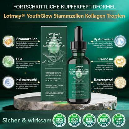 𝑳𝒐𝒕𝒎𝒂𝒚® 𝑭𝒆𝒔𝒕𝒊𝒈𝒆𝒏𝒅𝒆 & 𝑨𝒏𝒕𝒊-𝑭𝒂𝒍𝒕𝒆𝒏 𝑺𝒕𝒂𝒎𝒎𝒛𝒆𝒍𝒍-𝑲𝒐𝒍𝒍𝒂𝒈𝒆𝒏-𝑻𝒓𝒐𝒑𝒇𝒆𝒏 (𝑺𝒕𝒓𝒂𝒇𝒇𝒖𝒏𝒈 & 𝑭𝒆𝒔𝒕𝒊𝒈𝒖𝒏𝒈 𝒆𝒓𝒔𝒄𝒉𝒍𝒂𝒇𝒇𝒕𝒆𝒓 𝑯𝒂𝒖𝒕 𝒖𝒏𝒅 𝑹𝒆𝒅𝒖𝒛𝒊𝒆𝒓𝒖𝒏𝒈 𝒅𝒆𝒓 𝑭𝒂𝒍𝒕𝒆𝒏𝒃𝒊𝒍𝒅𝒖𝒏𝒈)👑